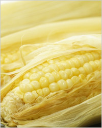 кукуруза 