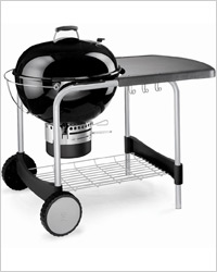 Weber One-Touch Pro Classic Station