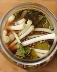 Рецепты приготовления черемши на зиму – маринованная, с салом