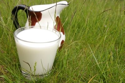 Американские матери против запрета на молоко