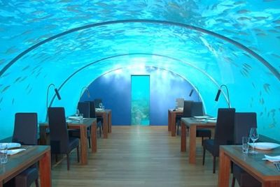 В Индии открылся подводный ресторан