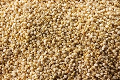 Древнеафриканское зерно может стать новым суперпродуктом