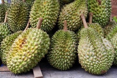 Азиатские ученые раскрыли причину неприятного запаха дуриана