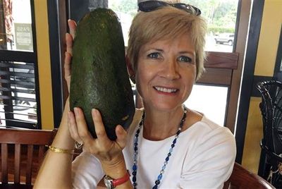 На Гавайях был найден гигантский авокадо