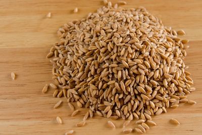 Ученые вывели новый сорт пшеницы с высоким содержанием клетчатки