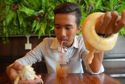 В столице Камбоджи открылось кафе с рептилиями