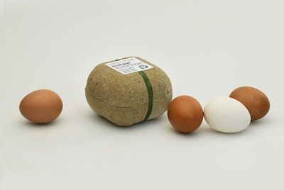 Греческий дизайнер создал экологичную упаковку для яиц