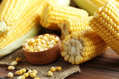 Беларусь запустила производство биопакетов из кукурузы