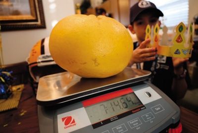 Американская семья вырастила гигантский грейпфрут