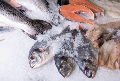 Российские ученые создали индикатор для определения повторной заморозки рыбы