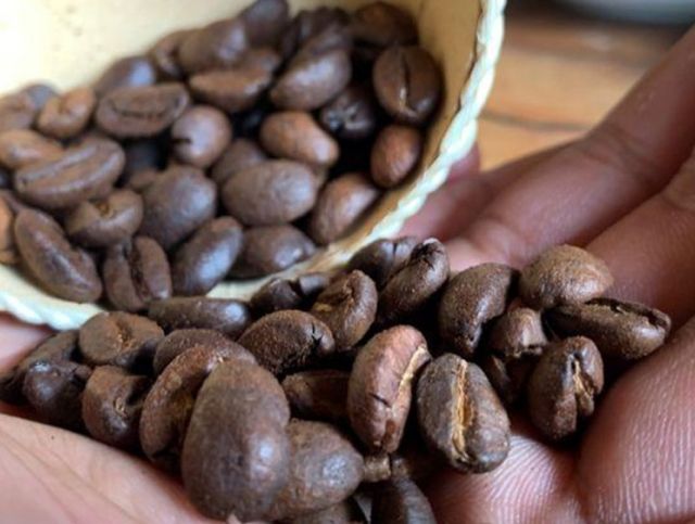 На Мадагаскаре продают кофейные зерна, надкусанные летучими мышами