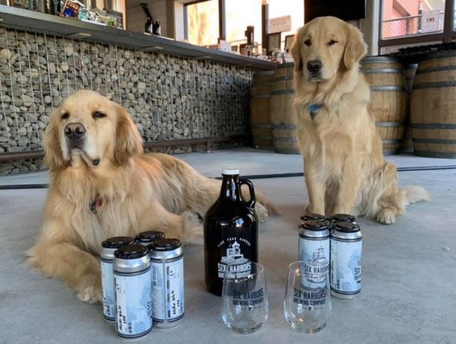 Американская пивоварня доставляет пиво с помощью собак
