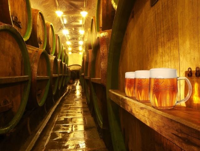Во Франции избавятся от 10 миллионов литров нераспроданного пива