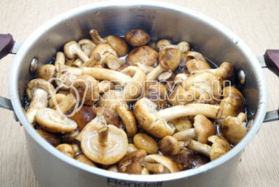 Сложить грибы в кастрюлю и залить 1,5 литра воды.