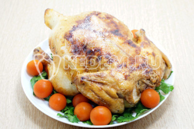 Выложить курицу на блюдо с зеленью и овощами.