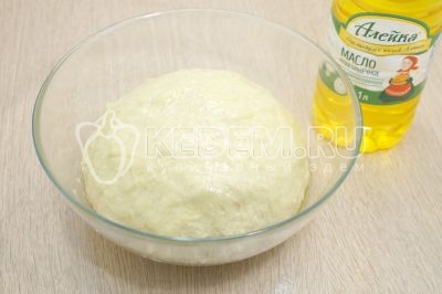 Сухую миску и тесто смазать 2 столовыми ложками подсолнечного масла ТМ «Алейка». Выложить тесто для куличей в миску.