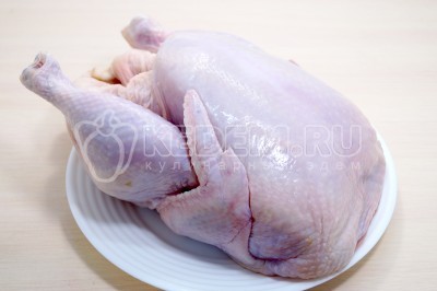 Чтобы приготовить курица кусочками в духовке с чесноком нужно курицу промыть и обсушить.